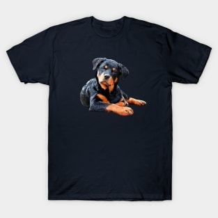 Rottweiler Welpe T-Shirt